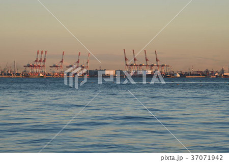 東京湾の夜明け 37071942