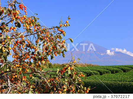 岩本山からの秋の風景-4727 37072217