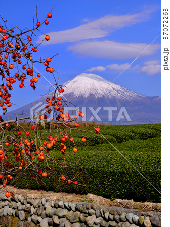 岩本山からの秋の風景-4768 37072263