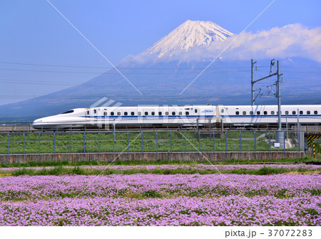 レンゲ畑と新幹線と富士山-5472 レンゲ畑と新幹線と富士山-5472 37072283