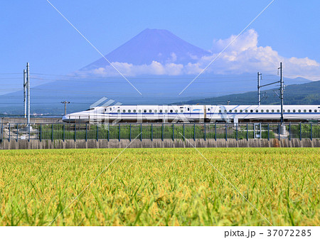 水田と新幹線と富士山-5477 水田と新幹線と富士山-5477 37072285