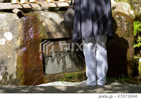 原不動尊　ー願不動 37073040