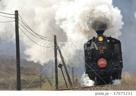 SL津和野稲荷号 37075231