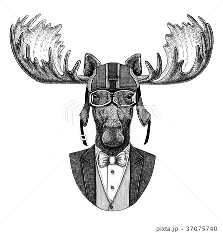 Moose, elk Animal wearing jacket with bow-tie and 37075740