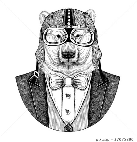 Polar bear Hand drawn Animal wearing jacket with Polar bear Hand drawn Animal wearing jacket with 37075890