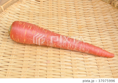 金時人参 37075996