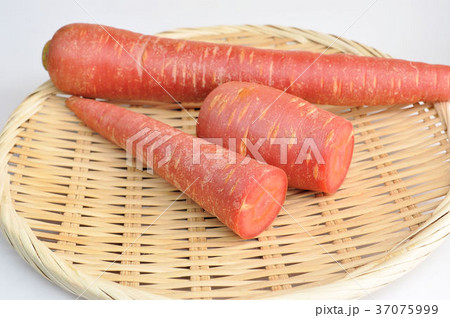 金時人参 37075999