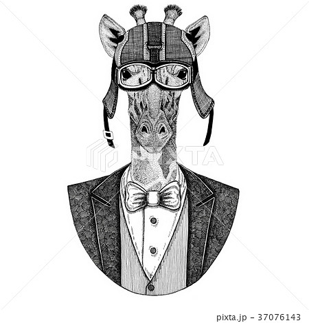Camelopard, giraffe Animal wearing jacket with bow 37076143