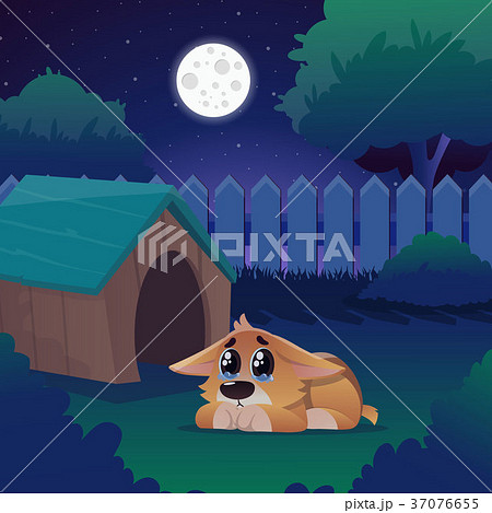Corgi with tears in eyes lies on green lawn near Corgi with tears in eyes lies on green lawn near 37076655