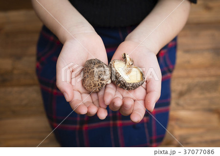 干し椎茸を持つ子供の手 37077086