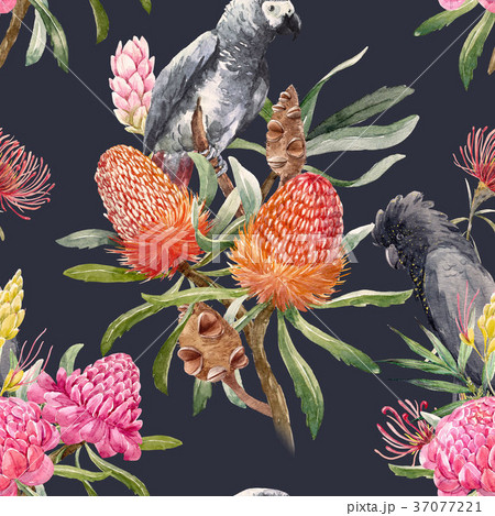 Watercolor tropical australian pattern 37077221