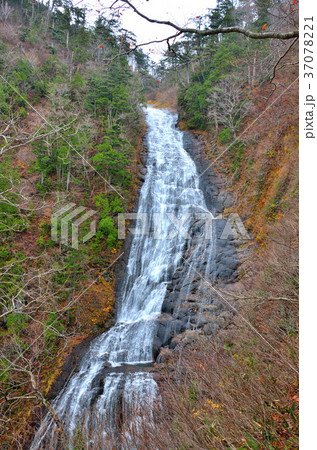 幸兵衛滝 秋田県北秋田市 幸兵衛滝 秋田県北秋田市 37078221