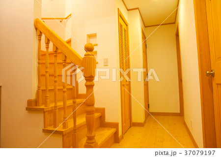 戸建　新築 37079197