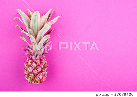 Pink pineapple on pink Pink pineapple on pink 37079400