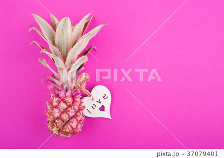 Pink pineapple on pink Pink pineapple on pink 37079401