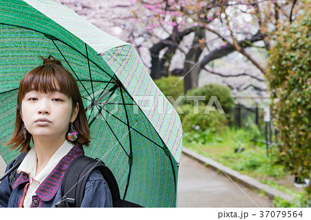 色鮮やかな桜 傘をさす女性 色鮮やかな桜 傘をさす女性 37079564