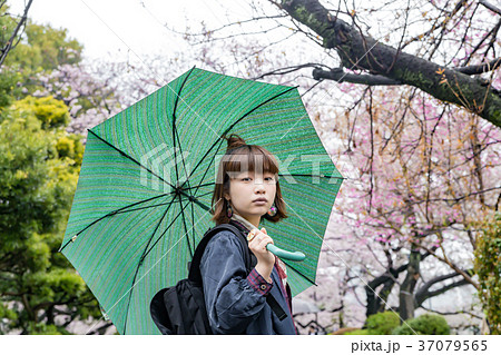色鮮やかな桜　傘をさす女性 37079565