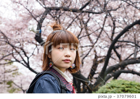 色鮮やかな桜 色鮮やかな桜 37079601