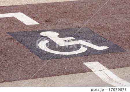 Way of wheel chair in the garden, disabled icon Way of wheel chair in the garden, disabled icon 37079873