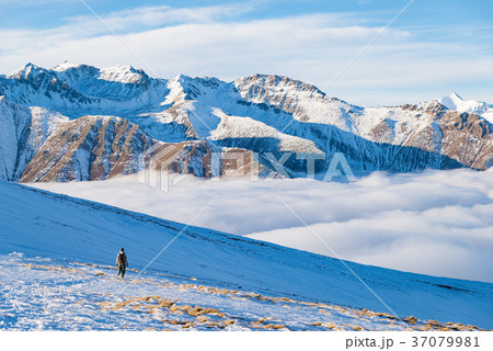 Backpacker hiking on snow Backpacker hiking on snow 37079981