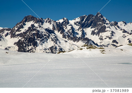 Alps in winter Alps in winter 37081989