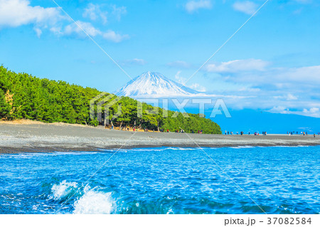 富士山と三保の松原 37082584