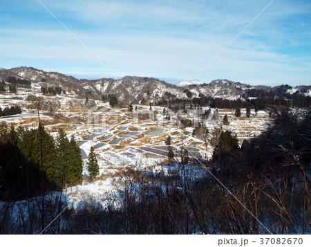 星峠の棚田 37082670