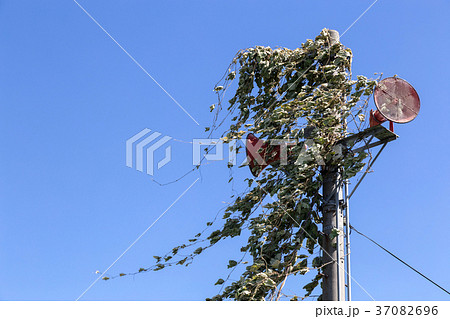 防災スピーカー 防災スピーカー 37082696