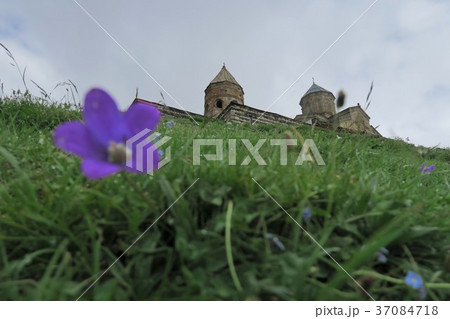 山の上のツミンダ・サメバ教会 37084718