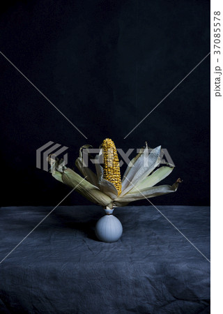 とうもろこし トウモロコシ 玉蜀黍 37085578