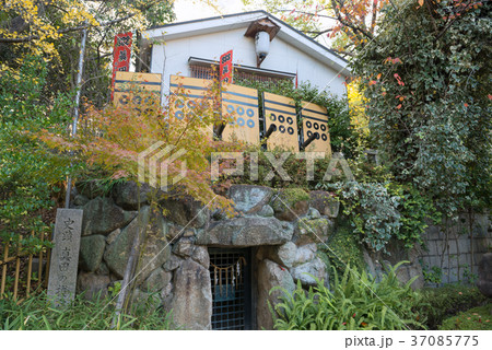 宰相山公園 37085775