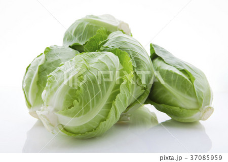 野菜 ベジタブル 青菜 37085959