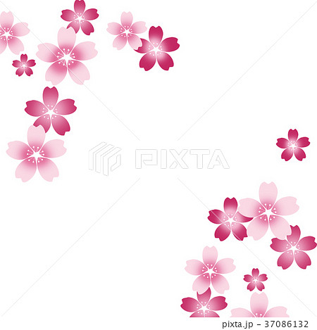 桜 和風 さくら 和柄 市松模様 花模様 和風イメージのイラスト素材