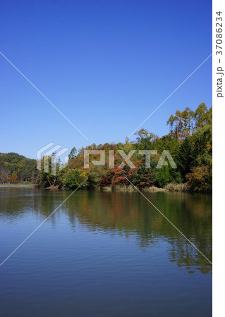 松本市 田溝池 松本市 田溝池 37086234