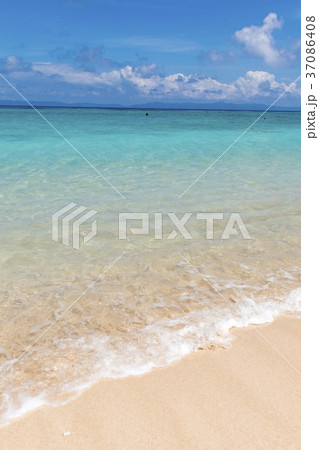 ニシハマ(波照間島) ニシハマ(波照間島) 37086408