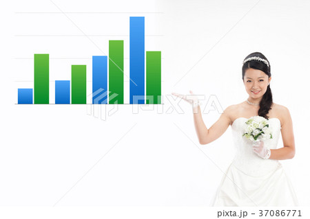 wedding 案内 グラフ wedding 案内 グラフ 37086771