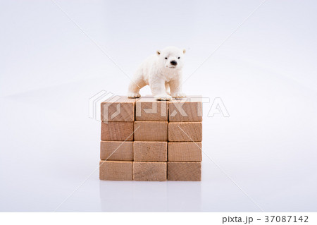 Polar bear is on the bullding blocks 37087142