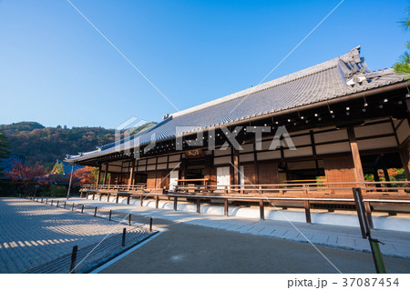 京都　天龍寺　大方丈 37087454