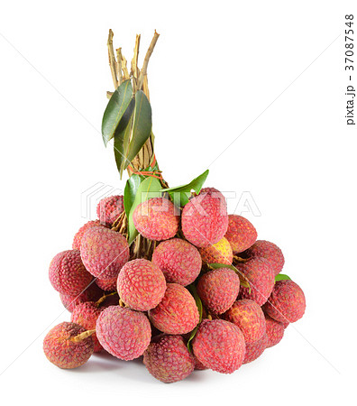 fresh lychees on white background 37087548