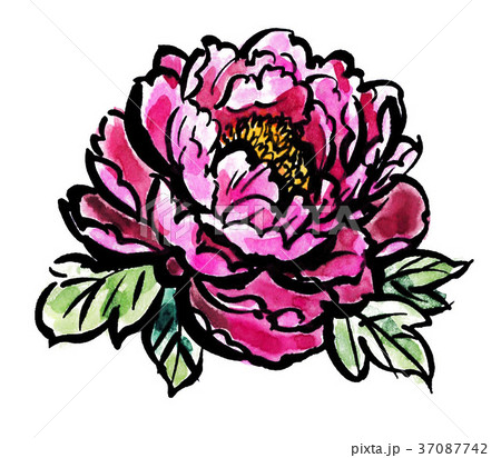 fuyubotan18104pix7 fuyubotan18104pix7 37087742