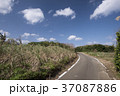 島道 37087886