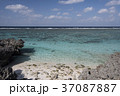 冬の海、ヨロン 37087887