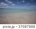 冬の百合ヶ浜 37087888
