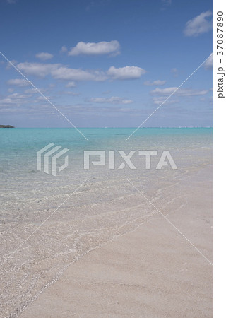 冬の百合ヶ浜、縦バージョン 冬の百合ヶ浜、縦バージョン 37087890