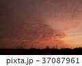 朝焼けヨロン 37087961