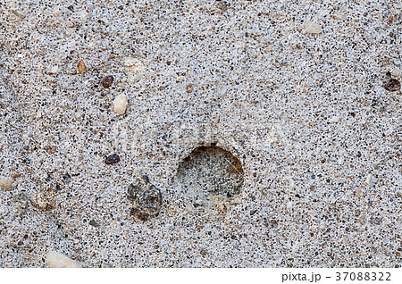 Weathered wall texture 37088322