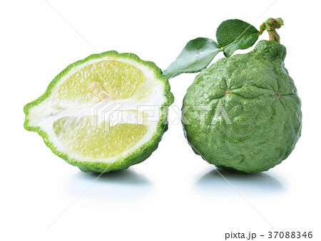 Bergamot[Kaffir lime] isolate on whit background 37088346