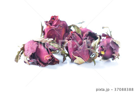 Bunch of withered roses 37088388
