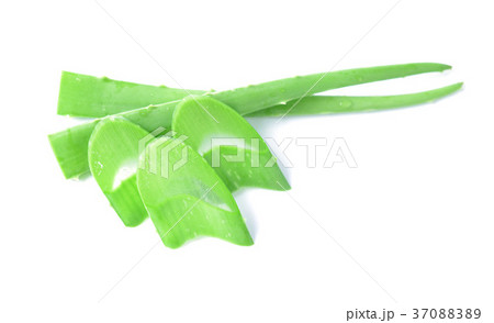aloe vera fresh leaf 37088389