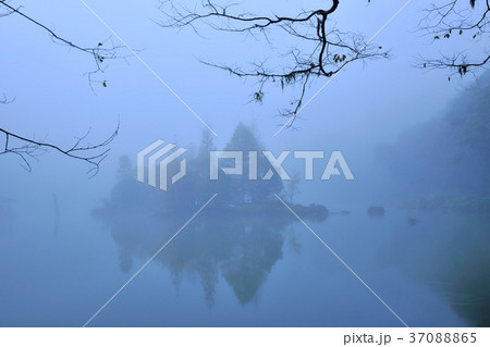 霧 景色 風景 37088865